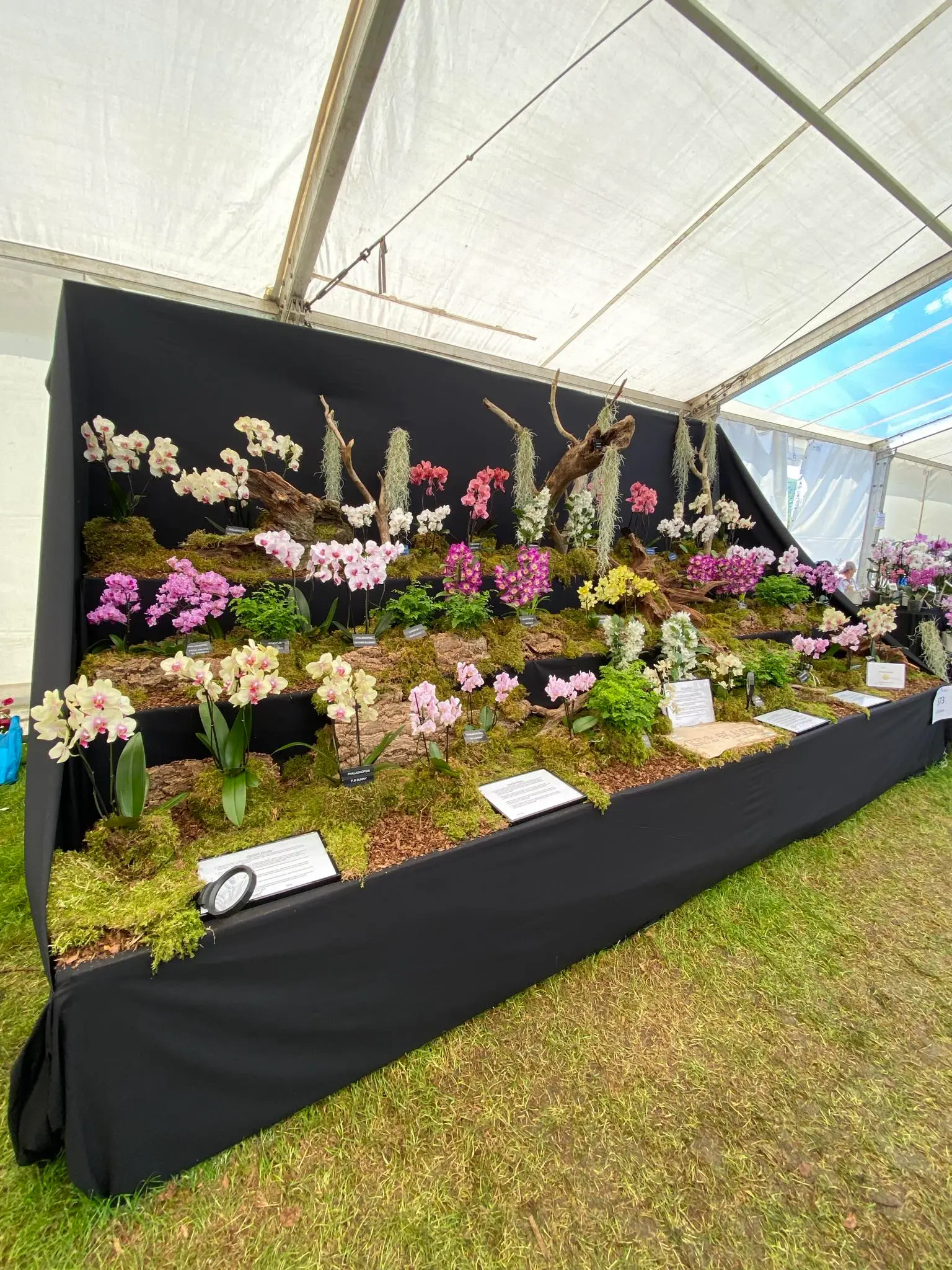 Flower Show Display